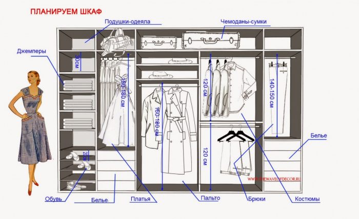 Этапы создания чертежа шкафа-купе своими руками